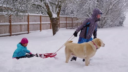Kids Pulling Sled in Snow Boy