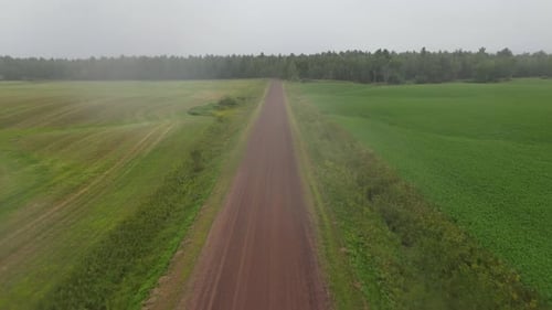 Aerial view of a dirt path running through a grass field towards a forest. Back and forward motion o