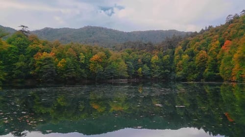Wald und See im Herbst - 2K