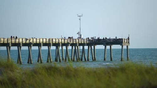 Touristen genießen die Urlaubszeit und Fischer fischen am Venice Fishing Pier an der Küste Floridas