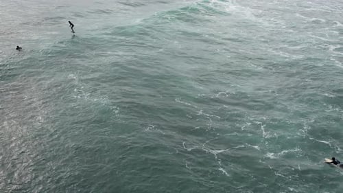 Young thrill seeking adventurous man riding fast on an electric hydrofoil in clear blue ocean water,