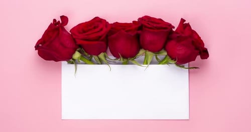 Trendy Video Banner for Valentines Day International Women's Day or Mothers Day Party or Wedding