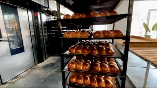 fresh buns