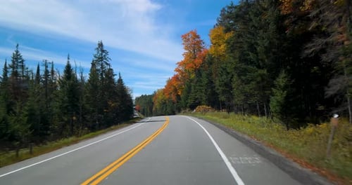 Driving Down Mountain Road, Empty Forest Drive Active