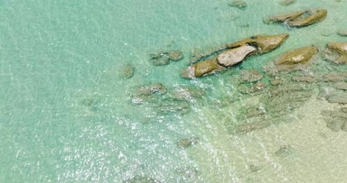 Aerial View of Tropical Beach