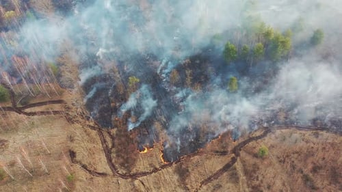 Aerial View Spring Dry Grass Burns During Drought Hot Weather Bush Fire And Smoke In Deforestation