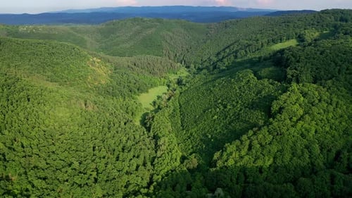 Lush Green Forested Hills Aerial View