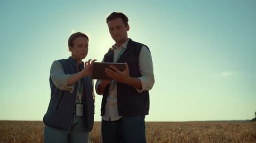 Farmers Reviewing Tablet Device in Wheat Field