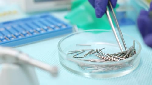 Stomatolog Hand Holding Medical Tweezers. Close Up Dentist Hand Selecting Bur For