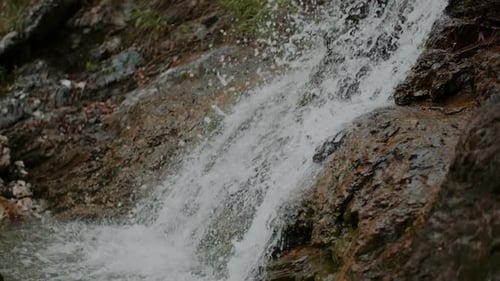 Pure Fresh Water Stream In Mountains Clean Water River Flowing