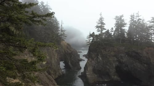 Aerial view passing a tree, toward cliffs on the foggy coast of the Samuel H. Boardman State Park, i