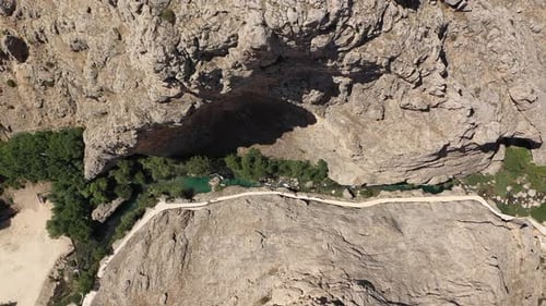 Vue aérienne des arbres et de la rivière du Grand Canyon