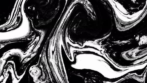 Vídeo de fundo abstrato Alpha Matte Black Color Covers White