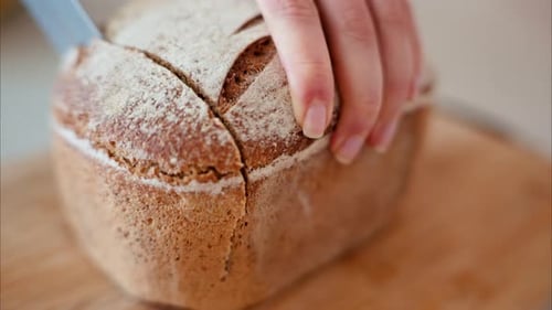 Cutting a Freshly Baked Loaf of Bread