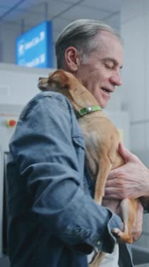 Airport Terminal Passenger with Chihuahua at Security Checkpoint Security Officer Inspecting Dog