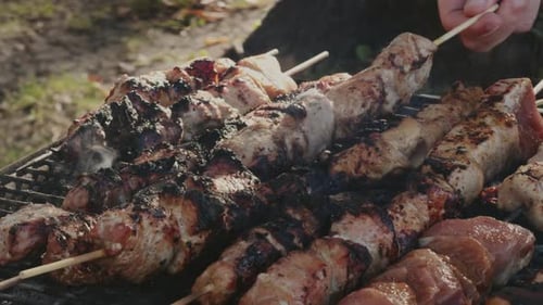 Meat Skewers Cooking on a Grill Outdoors