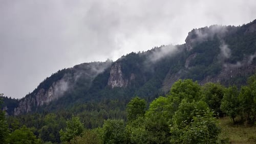 Water Vapor Rising From the Forest After the Rain Cloud Formation