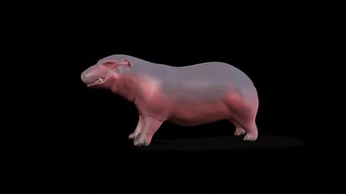 Realistic 3D Hippo Walking Animation