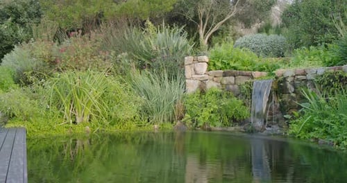 Camera is panning right, revealing stone wall with narrow waterfall flowing into backyard pond