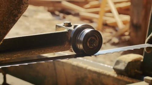 Join the Workers at the Sawmill As They Cut Through the Forest Turning Raw Wood Into Firewood and
