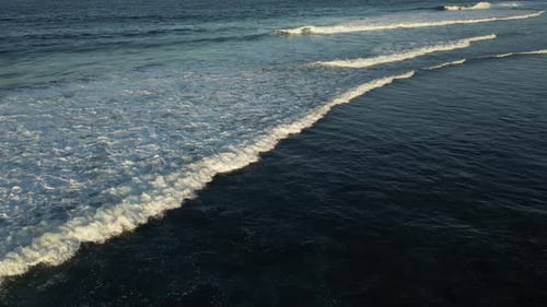 Massive Waves 81