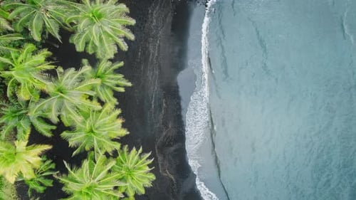 Outdoor Adventure Travel to Beautiful Hawaii Beach Cinematic Wild Nature Aerial