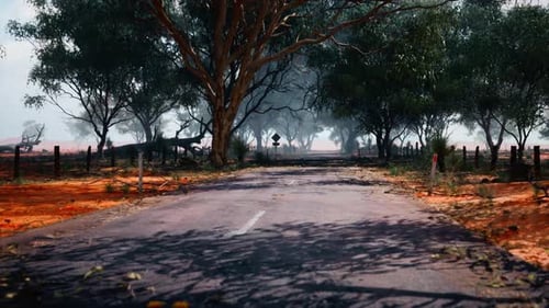 An Empty Road Surrounded By Lush Trees