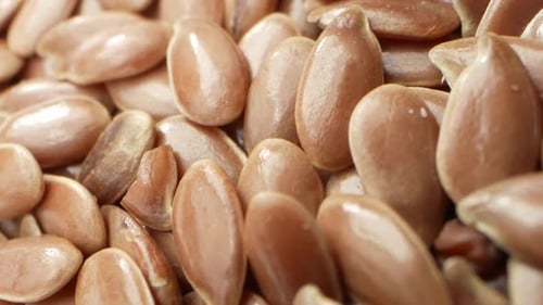 Close Up of Shiny Brown Flax Seeds