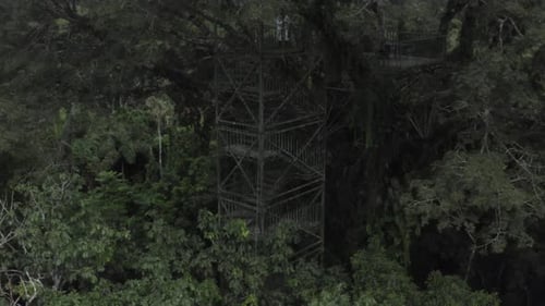 Increíble torre con mirador alto en la selva amazónica. Ideal para turistas que buscan aves.