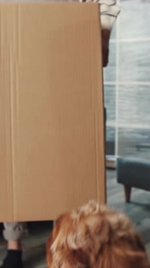 Couple Moving into New Apartment with Dog