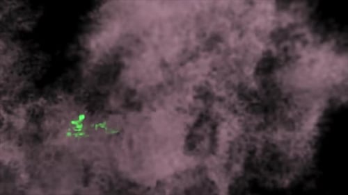 Abstract Neon Green Smoke Fluid Element Expansion