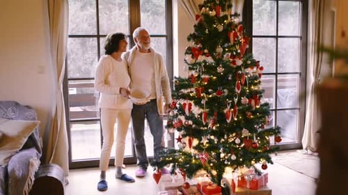 Senior Couple Decorating Christmas Tree with Love Indoors