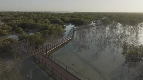 Aerial view of mangrove forest and wooden bridge, United Arab Emirates.
