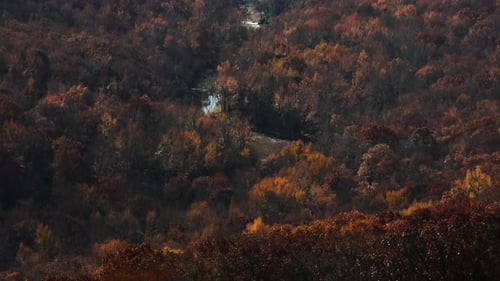 Golden Autumn Forest Trees In Valleys Of Lee Creek In Arkansas, USA. Aerial Drone Shot