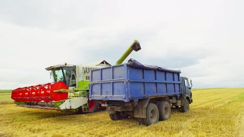 Combine Harvester Unloading into Truck in Field