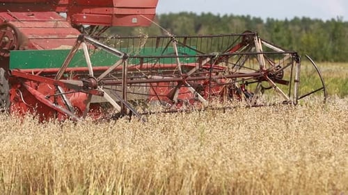 close up of combine slowly drives through the field and harvests the winter wheat crop. Cultivation