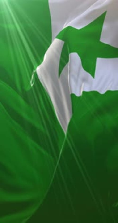 Bandeira do Esperanto