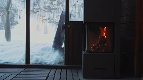 Cozy Interior with Modern Fireplace and Snowy Landscape View