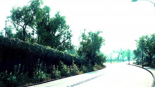 View of Empty Road with Lamp Post and Sunlight