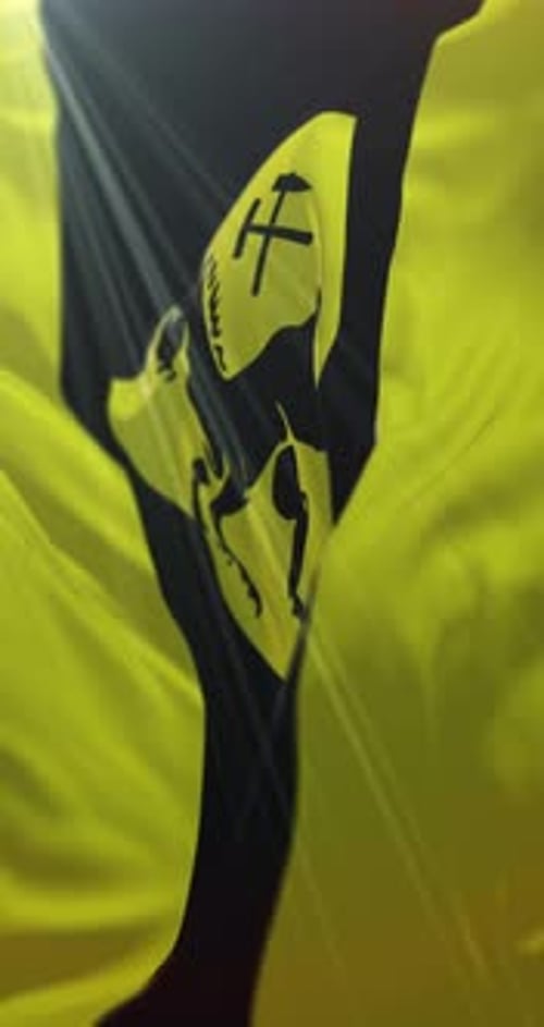 Waving Flag Animation with Corporate Logo Silhouette