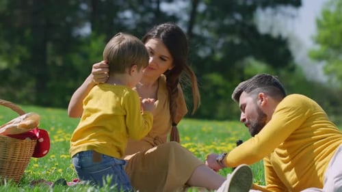 Family Enjoys Picnic in Sunny Grassy Park