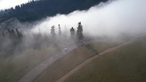 Car On The Foggy Road By The Forest