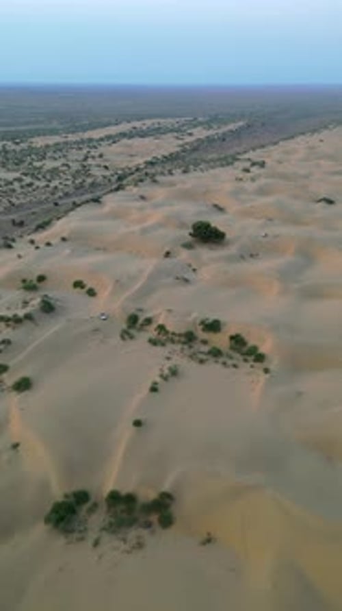Aerial 4K shot of the endless dunes with green vegetation in Jaisalmer under a clear sky Rajasthan