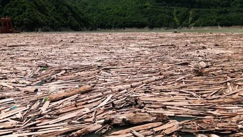 Aerial View of Log Jam Driftwood Accumulation Floating Debris on River in Forest Nature Scene