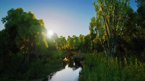 Sunrise Over a Tranquil Stream Surrounded By Lush Greenery in Nature