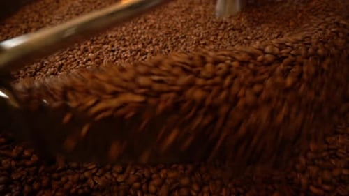 Roasting Coffee Beans Being Stirred