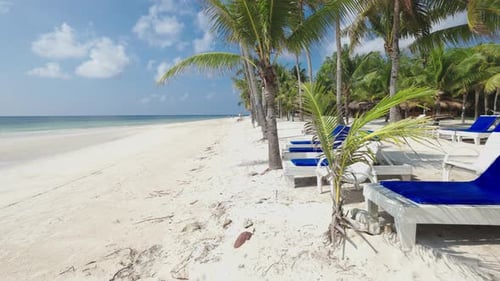 Sunbeds, beach, palm trees and more at Dumaluan beach in the Philippines