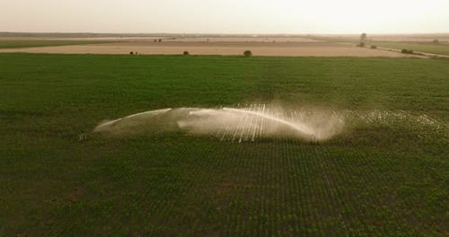 Irrigation system in agricultural field in sunlight, multiple sprinklers, water spray carried by win