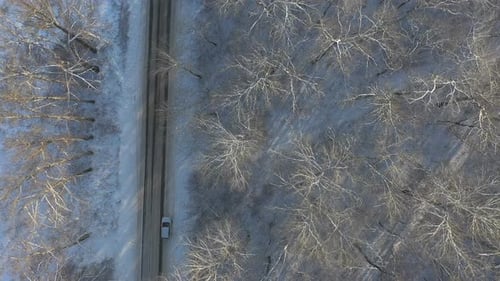 Above View of White SUV Going on a Snow Covered Forest Road Car Rides at Icy Woods Route at Winter