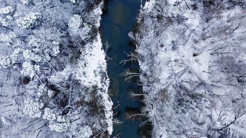 Winter river and snowy forest. Aerial view of nature